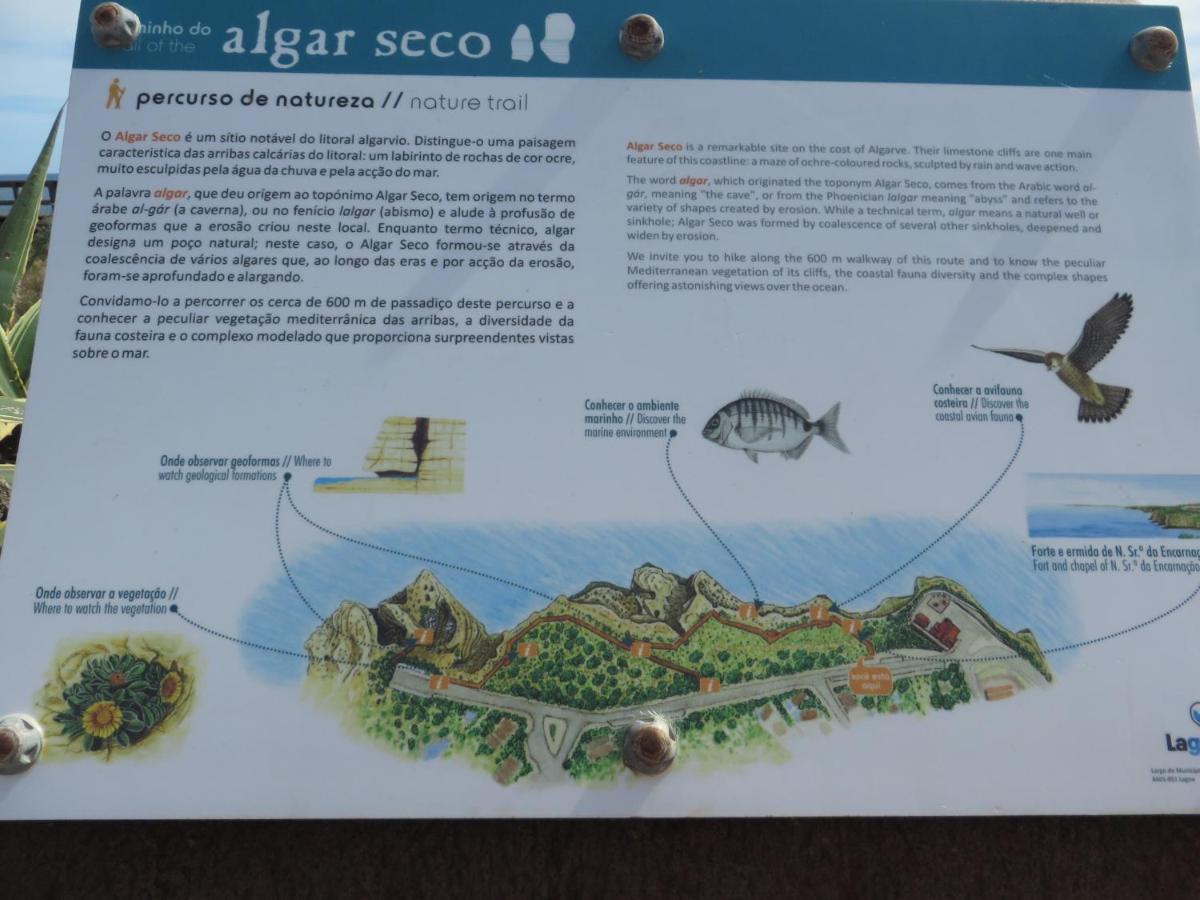 Com Piscina Perto Da * Carvoeiro (Lagoa)